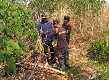 ลงพื้นที่ร่วมแก้ไขกรณีพิพาทเรื่องที่ดิน พารามิเตอร์รูปภาพ 4