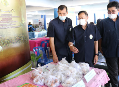 ร่วมโครงการคลินิกเกษตรเคลื่อนที่ในพระราชานุเคราะห์ ... พารามิเตอร์รูปภาพ 8
