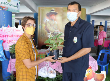 ร่วมโครงการคลินิกเกษตรเคลื่อนที่ในพระราชานุเคราะห์ ... พารามิเตอร์รูปภาพ 10