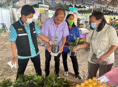 ร่วมจัดนิทรรศการโครงการปฏิบัติราชการเพื่อให้บริการประชาชน ... พารามิเตอร์รูปภาพ 4