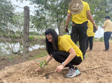 ร่วมกิจกรรมวันต้นไม้ประจำปีของชาติ พ.ศ. 2567 พารามิเตอร์รูปภาพ 5