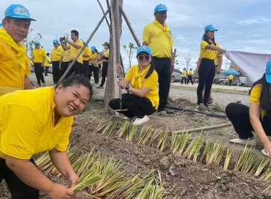 ร่วมกิจกรรมจิตอาสาพัฒนาเนื่องในโอกาสวันสำคัญของชาติไทย พ.ศ. ... พารามิเตอร์รูปภาพ 2