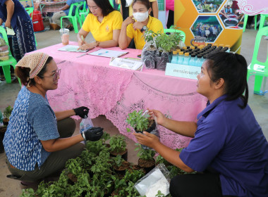 ร่วมเป็นเกียรติในพิธีเปิดและร่วมจัดนิทรรศการโครงการคลินิกเกษตรเคลื่อนที่ในพระราชานุเคราะห์ ... พารามิเตอร์รูปภาพ 12