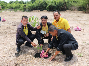 จัดโครงการสหกรณ์อาสาทำความดีด้วยหัวใจ ... พารามิเตอร์รูปภาพ 7