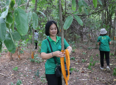 จัดโครงการประชุมเชิงปฏิบัติการ ... พารามิเตอร์รูปภาพ 14