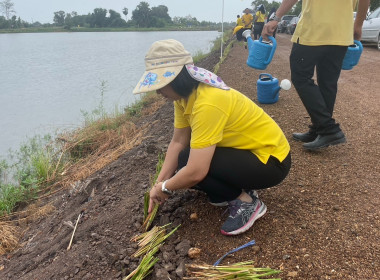 ร่วมกิจกรรมปลูกต้นไม้เพื่อเฉลิมพระเกียรติพระบาทสมเด็จพระเจ้าอยู่หัว ... พารามิเตอร์รูปภาพ 3