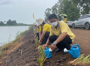 ร่วมกิจกรรมปลูกต้นไม้เพื่อเฉลิมพระเกียรติพระบาทสมเด็จพระเจ้าอยู่หัว ... พารามิเตอร์รูปภาพ 4