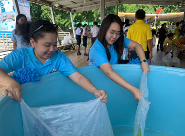 ร่วมพิธีปล่อยพันธุ์สัตว์น้ำ เนื่องในวันประมงแห่งชาติ ... พารามิเตอร์รูปภาพ 3