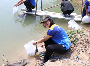 สำนักงานสหกรณ์จังหวัดสุพรรณบุรี จัดกิจกรรมปล่อยพันธุ์ปลา พารามิเตอร์รูปภาพ 3