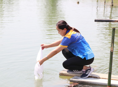 สำนักงานสหกรณ์จังหวัดสุพรรณบุรี จัดกิจกรรมปล่อยพันธุ์ปลา พารามิเตอร์รูปภาพ 6