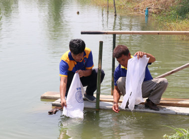 สำนักงานสหกรณ์จังหวัดสุพรรณบุรี จัดกิจกรรมปล่อยพันธุ์ปลา พารามิเตอร์รูปภาพ 7