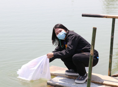 สำนักงานสหกรณ์จังหวัดสุพรรณบุรี จัดกิจกรรมปล่อยพันธุ์ปลา พารามิเตอร์รูปภาพ 9