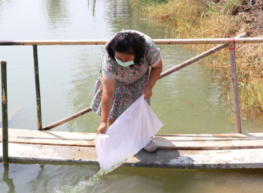 สำนักงานสหกรณ์จังหวัดสุพรรณบุรี จัดกิจกรรมปล่อยพันธุ์ปลา พารามิเตอร์รูปภาพ 10