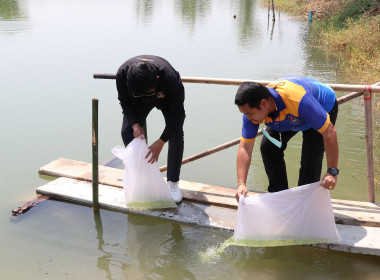 สำนักงานสหกรณ์จังหวัดสุพรรณบุรี จัดกิจกรรมปล่อยพันธุ์ปลา พารามิเตอร์รูปภาพ 13