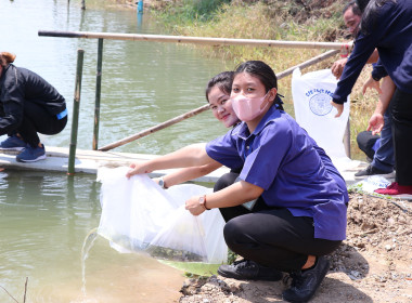 สำนักงานสหกรณ์จังหวัดสุพรรณบุรี จัดกิจกรรมปล่อยพันธุ์ปลา พารามิเตอร์รูปภาพ 14