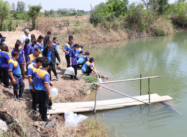 สำนักงานสหกรณ์จังหวัดสุพรรณบุรี จัดกิจกรรมปล่อยพันธุ์ปลา พารามิเตอร์รูปภาพ 15