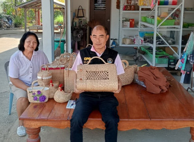 ลงพื้นที่ตรวจเยี่ยมกลุ่มอาชีพในพื้นที่อำเภอเดิมบางนางบวช ... พารามิเตอร์รูปภาพ 1