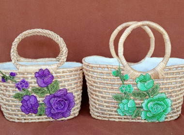 ลงพื้นที่ตรวจเยี่ยมกลุ่มอาชีพในพื้นที่อำเภอเดิมบางนางบวช ... พารามิเตอร์รูปภาพ 10