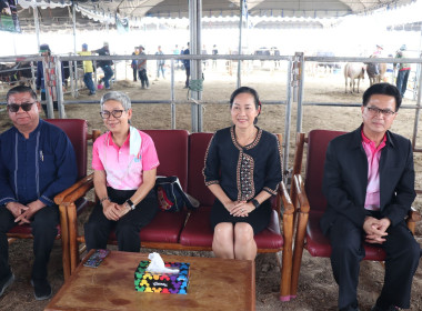 ร่วมพิธีเปิดกิจกรรมการประกวดกระบือ ... พารามิเตอร์รูปภาพ 5