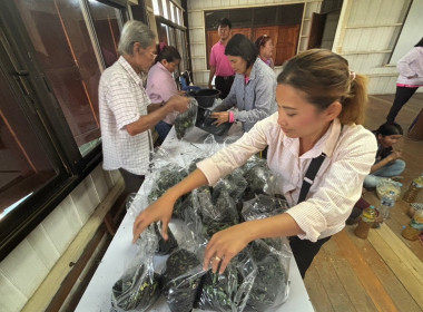 จัดอบรมโครงการส่งเสริมการปลูกพืขสมุนไพร ประจำปีงบประมาณ ... พารามิเตอร์รูปภาพ 7