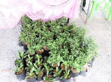 ร่วมเป็นเกียรติในพิธีเปิดและร่วมจัดนิทรรศการโครงการคลินิกเกษตรเคลื่อนที่ฯ ... พารามิเตอร์รูปภาพ 26