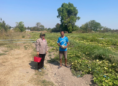 ร่วมตรวจติดตามโครงการขับเคลื่อนปรัชญาของเศรษฐกิจพอเพียงในสหกรณ์และกลุ่มเกษตรกร ... พารามิเตอร์รูปภาพ 3