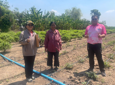 ร่วมตรวจติดตามโครงการขับเคลื่อนปรัชญาของเศรษฐกิจพอเพียงในสหกรณ์และกลุ่มเกษตรกร ... พารามิเตอร์รูปภาพ 5