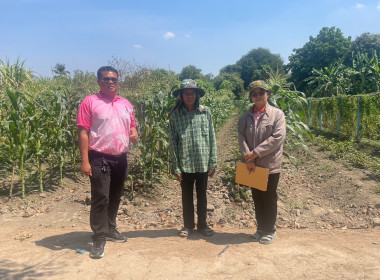 ร่วมตรวจติดตามโครงการขับเคลื่อนปรัชญาของเศรษฐกิจพอเพียงในสหกรณ์และกลุ่มเกษตรกร ... พารามิเตอร์รูปภาพ 7