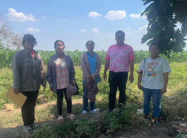 ร่วมตรวจติดตามโครงการขับเคลื่อนปรัชญาของเศรษฐกิจพอเพียงในสหกรณ์และกลุ่มเกษตรกร ... พารามิเตอร์รูปภาพ 8