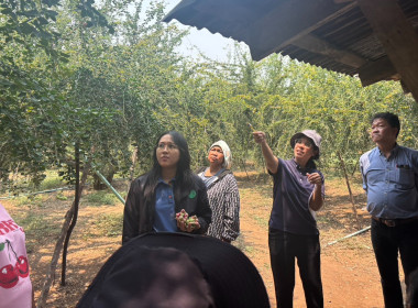 จัดอบรมโครงการยกระดับคุณภาพมาตรฐานสินค้าเกษตร ... พารามิเตอร์รูปภาพ 3