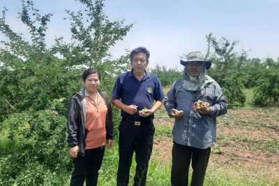 ตรวจเยี่ยมแนะนำส่งเสริมสหกรณ์นิคมด่านช้าง จำกัด พารามิเตอร์รูปภาพ 1