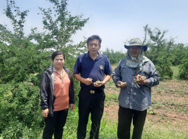 ตรวจเยี่ยมแนะนำส่งเสริมสหกรณ์นิคมด่านช้าง จำกัด พารามิเตอร์รูปภาพ 1