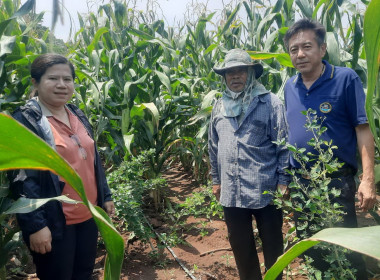 ตรวจเยี่ยมแนะนำส่งเสริมสหกรณ์นิคมด่านช้าง จำกัด พารามิเตอร์รูปภาพ 2