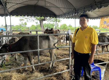 ร่วมพิธีเปิดกิจกรรมงาน “วันอนุรักษ์ควายไทย” ประจำปี พ.ศ. ... พารามิเตอร์รูปภาพ 6
