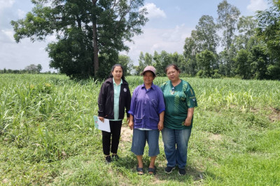ตรวจเยี่ยมแนะนำส่งเสริมสหกรณ์ตำบลพลับพลาไชยเฉลิมพระเกียรติ ... พารามิเตอร์รูปภาพ 1
