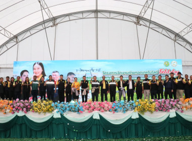 รัฐมนตรีช่วยว่าการกระทรวงเกษตรและสหกรณ์เปิดโครงการจัดงานถ่ายทอดเทคโนโลยี (Field Day) ... พารามิเตอร์รูปภาพ 11