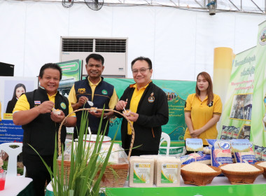 รัฐมนตรีช่วยว่าการกระทรวงเกษตรและสหกรณ์เปิดโครงการจัดงานถ่ายทอดเทคโนโลยี (Field Day) ... พารามิเตอร์รูปภาพ 29