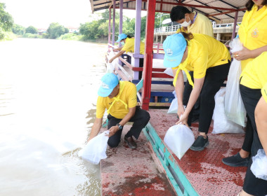 จัดกิจกรรมจิตอาสาบำเพ็ญสาธารณประโยชน์เฉลิมพระเกียรติสมเด็จพระนางเจ้า ฯ พระบรมราชินี ... พารามิเตอร์รูปภาพ 19