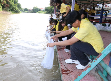จัดกิจกรรมจิตอาสาบำเพ็ญสาธารณประโยชน์เฉลิมพระเกียรติสมเด็จพระนางเจ้า ฯ พระบรมราชินี ... พารามิเตอร์รูปภาพ 22