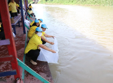 จัดกิจกรรมจิตอาสาบำเพ็ญสาธารณประโยชน์เฉลิมพระเกียรติสมเด็จพระนางเจ้า ฯ พระบรมราชินี ... พารามิเตอร์รูปภาพ 27