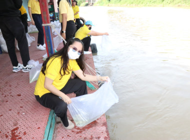 จัดกิจกรรมจิตอาสาบำเพ็ญสาธารณประโยชน์เฉลิมพระเกียรติสมเด็จพระนางเจ้า ฯ พระบรมราชินี ... พารามิเตอร์รูปภาพ 29
