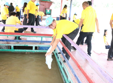 จัดกิจกรรมจิตอาสาบำเพ็ญสาธารณประโยชน์เฉลิมพระเกียรติสมเด็จพระนางเจ้า ฯ พระบรมราชินี ... พารามิเตอร์รูปภาพ 33
