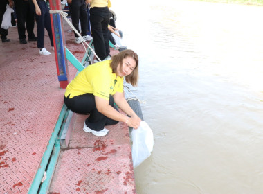 จัดกิจกรรมจิตอาสาบำเพ็ญสาธารณประโยชน์เฉลิมพระเกียรติสมเด็จพระนางเจ้า ฯ พระบรมราชินี ... พารามิเตอร์รูปภาพ 35