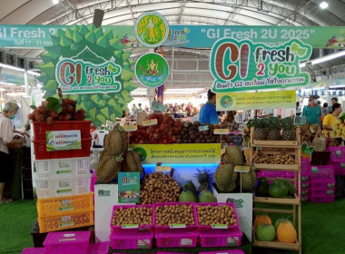 ร่วมงานแสดงและจำหน่ายสินค้าเกษตรปลอดภัย ... พารามิเตอร์รูปภาพ 12