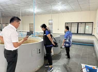 ตรวจเยี่ยมแนะนำส่งเสริมสหกรณ์ผู้เพาะเลี้ยงสัตว์น้ำและการเกษตรสุพรรณบุรี จำกัด ... พารามิเตอร์รูปภาพ 5