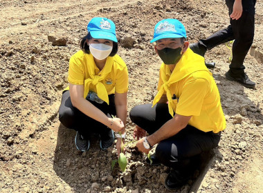 ร่วมกิจกรรมจิตอาสาพัฒนาเนื่องในโอกาสวันสำคัญของชาติไทย พารามิเตอร์รูปภาพ 5