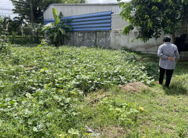 ลงพื้นที่ตรวจเยี่ยมสมาชิกของสหกรณ์การเกษตรดอนเจดีย์ จำกัด พารามิเตอร์รูปภาพ 3