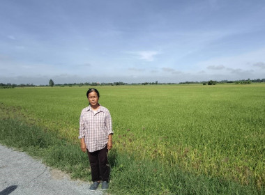 ตรวจเยี่ยมแนะนำส่งเสริมสหกรณ์การเกษตรศรีประจันต์ จำกัด พารามิเตอร์รูปภาพ 4