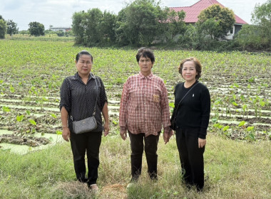 ตรวจเยี่ยมแนะนำส่งเสริมกลุ่มเกษตรกรทำนาบ้านกร่าง พารามิเตอร์รูปภาพ 3
