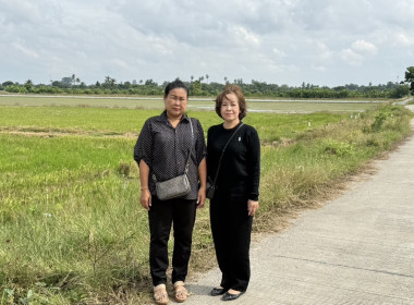 ตรวจเยี่ยมแนะนำส่งเสริมกลุ่มเกษตรกรทำนาบ้านกร่าง พารามิเตอร์รูปภาพ 4